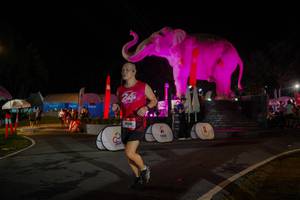 BIB: 
                            <button type="button" onclick="openModal(26552173)" class="btn btn-primary btn-sm float-right btn-popup" data-toggle="modal" data-target=".modal-high-quality">
                        <i class="fas fa-shopping-cart"></i> Add to Cart
                    </button>
                                            <button type="button" onclick="isThisMe(26552173, true)" class="btn btn-success btn-sm float-right btn-popup btn-isme hidden" data-toggle="tooltip" data-placement="bottom" title="นี่คือรูปของคุณใช่ไหม คลิกที่นี่เพื่อเอาเข้าอัลบั้ม">
                        <i class="fas fa-plus"></i> Add to album
                    </button>
                    <button type="button" onclick="isThisMe(26552173, false)" class="btn btn-warning btn-sm float-right btn-popup btn-isnotme hidden">
                        <i class="fas fa-ban"></i> Remove from album
                    </button>